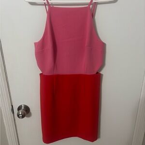 French Connection Pink and Red Dress